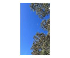 WirePilot - Wire Antenna Launcher